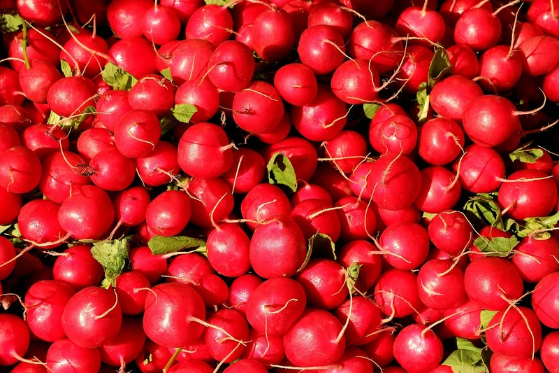 Manger local : gastronomie économique et marchés