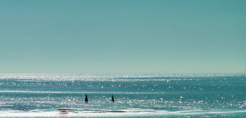 Comment éviter les pièges des plages sur-cotée